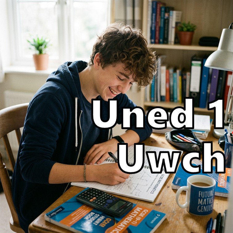 Course Image TGAU Uned 1 Uwch