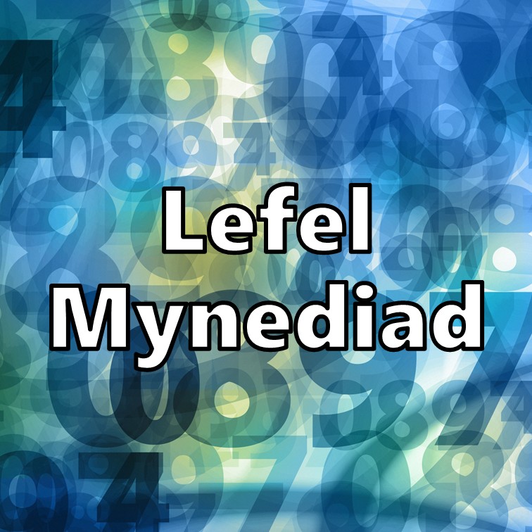 Course Image Lefel Mynediad